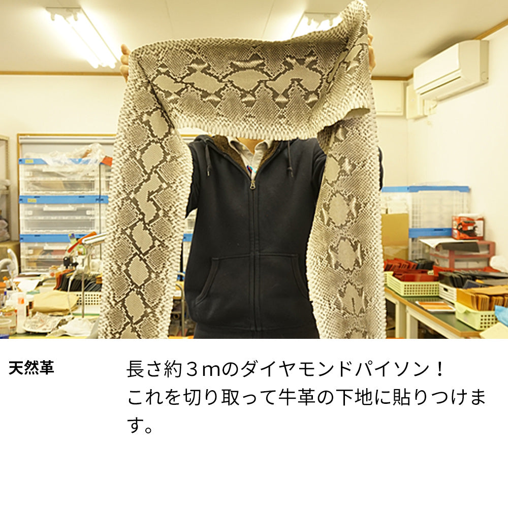 AQUOS wish4 A402SH Y!mobile ダイヤモンドパイソン(本革) 手帳型ケース