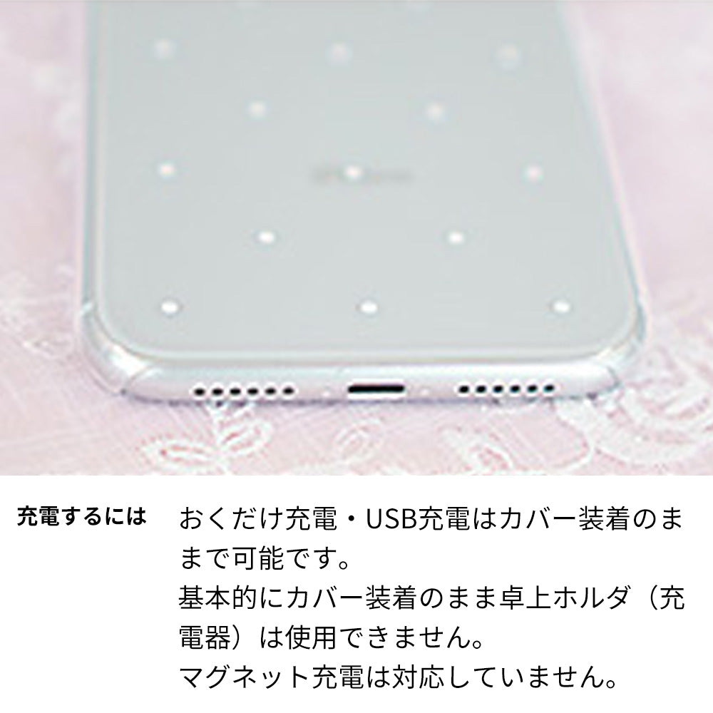 AQUOS sense9 SH-M29 スマホケース ハードケース クリアケース Lady Rabbit