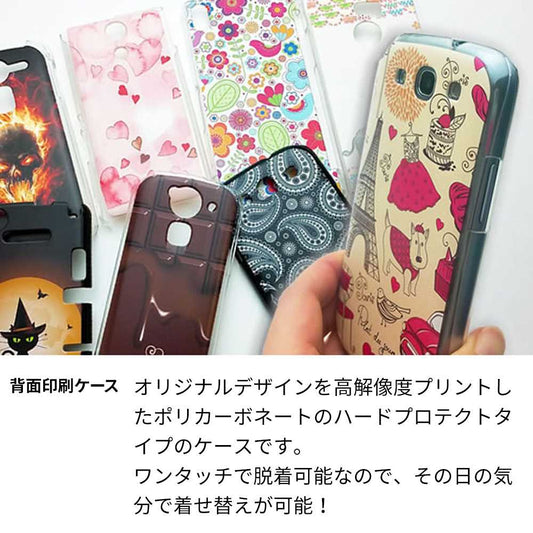 AQUOS R10 SH-51F docomo 高画質仕上げ 背面印刷 ハードケースレインボー