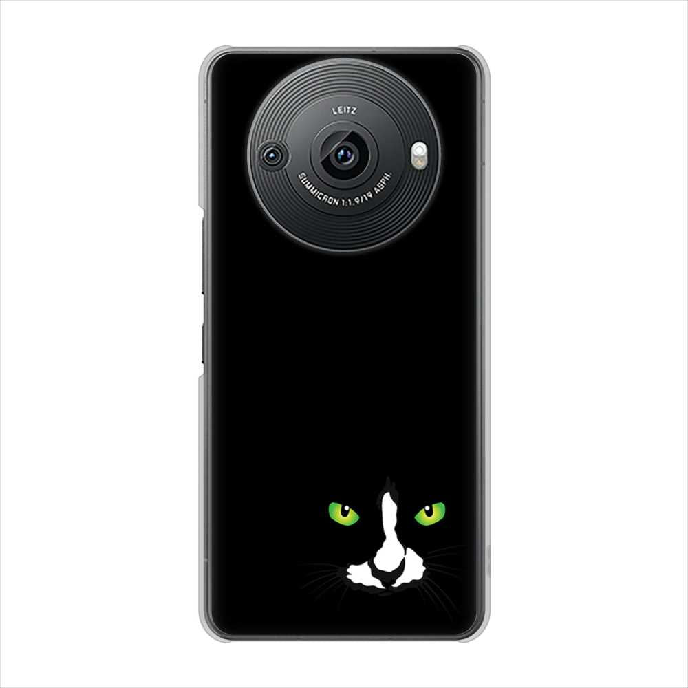 AQUOS R8 pro A301SH SoftBank 高画質仕上げ 背面印刷 ハードケース 【398 黒ネコ】