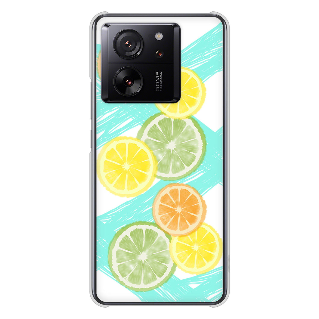 Xiaomi 13T Pro A301XM SoftBank 高画質仕上げ 背面印刷 ハードケース 【YJ183 オレンジライム】