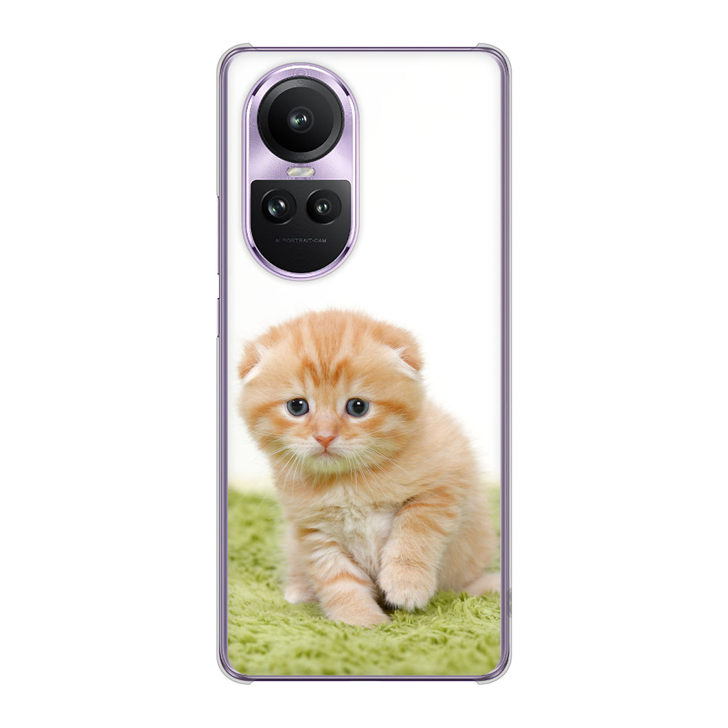 OPPO Reno10 Pro 5G A302OP SoftBank 高画質仕上げ 背面印刷 ハードケース 【VA802 ネコこっそり】