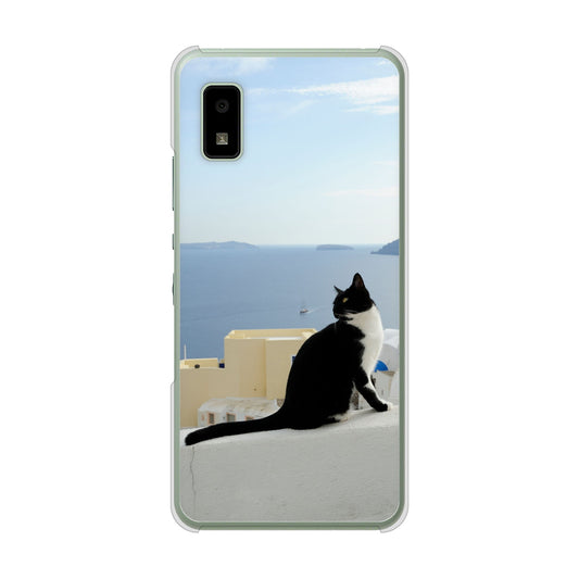 AQUOS wish3 A302SH Y!mobile 高画質仕上げ 背面印刷 ハードケース 【VA805 ネコと地中海】
