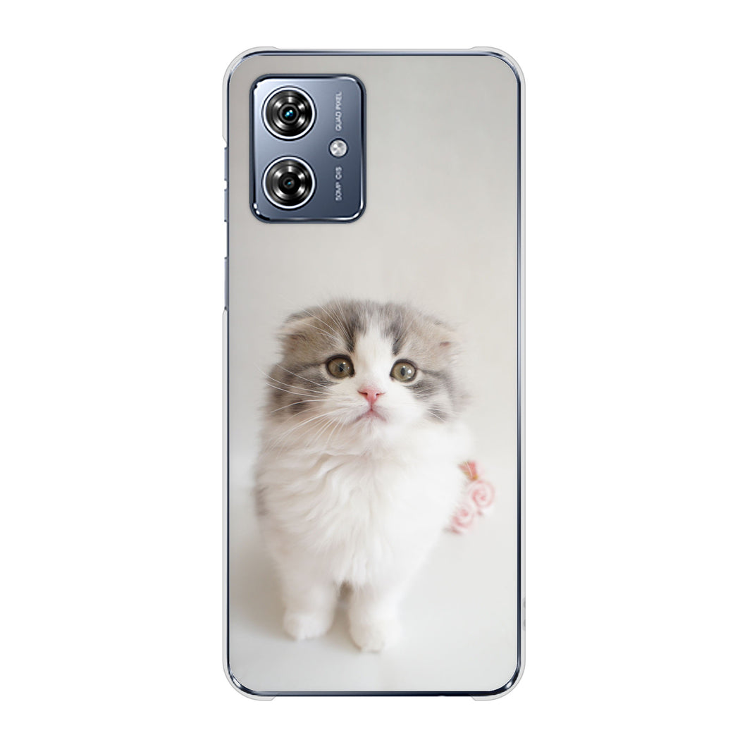 moto g64y 5G A401MO Y!mobile 高画質仕上げ 背面印刷 ハードケース 【VA803 まっていますネコ】