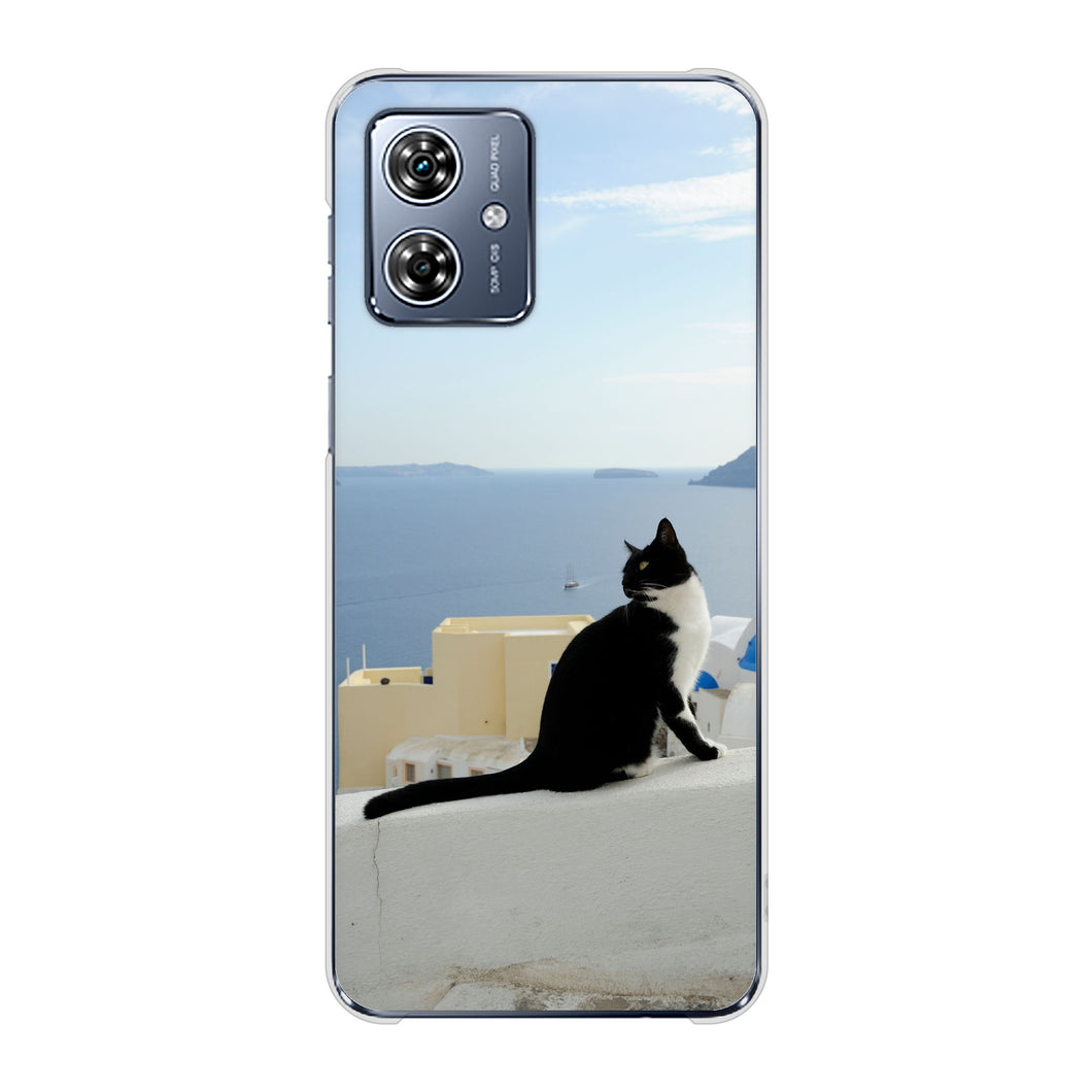 moto g64y 5G A401MO Y!mobile 高画質仕上げ 背面印刷 ハードケース 【VA805 ネコと地中海】