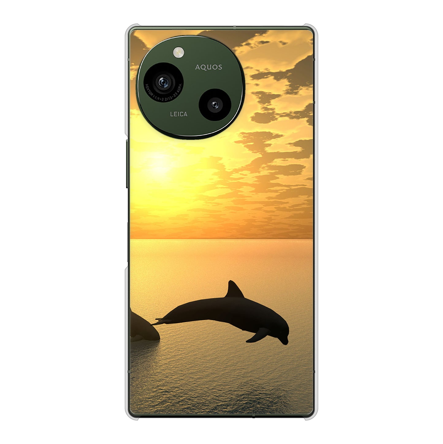 AQUOS R9 A401SH SoftBank 高画質仕上げ 背面印刷 ハードケース 【VA845 夕暮れのドルフィン】