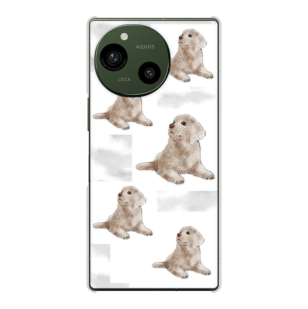 AQUOS R9 A401SH SoftBank 高画質仕上げ 背面印刷 ハードケースラブラドールレトリバー