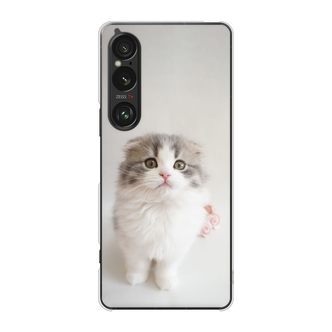 Xperia 1 VI A401SO SoftBank 高画質仕上げ 背面印刷 ハードケース 【VA803 まっていますネコ】