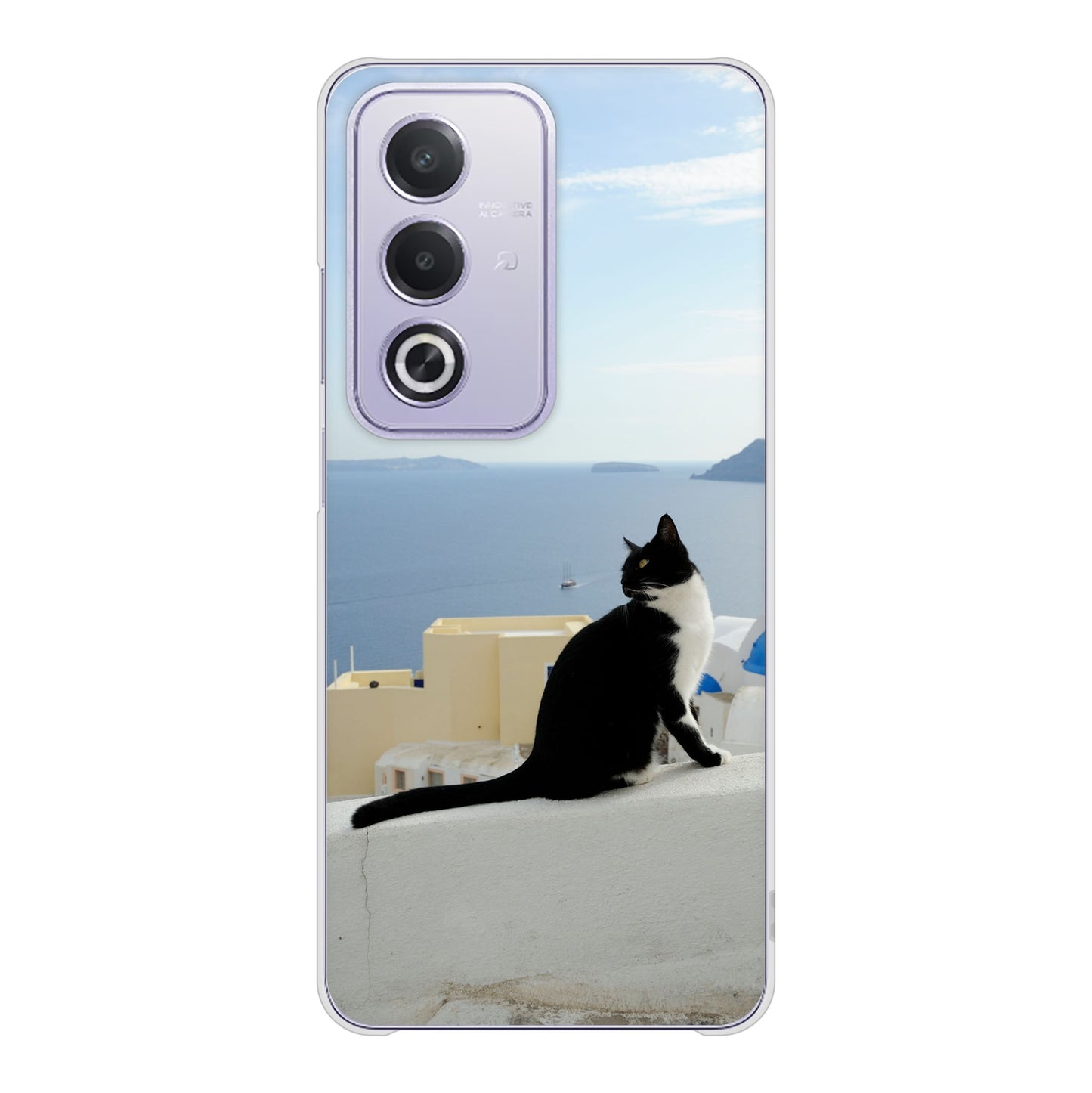 OPPO A3 5G A402OP Y!mobile 高画質仕上げ 背面印刷 ハードケース 【VA805 ネコと地中海】