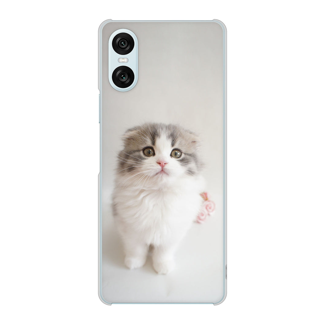 Xperia 10 VI A402SO SoftBank 高画質仕上げ 背面印刷 ハードケース 【VA803 まっていますネコ】
