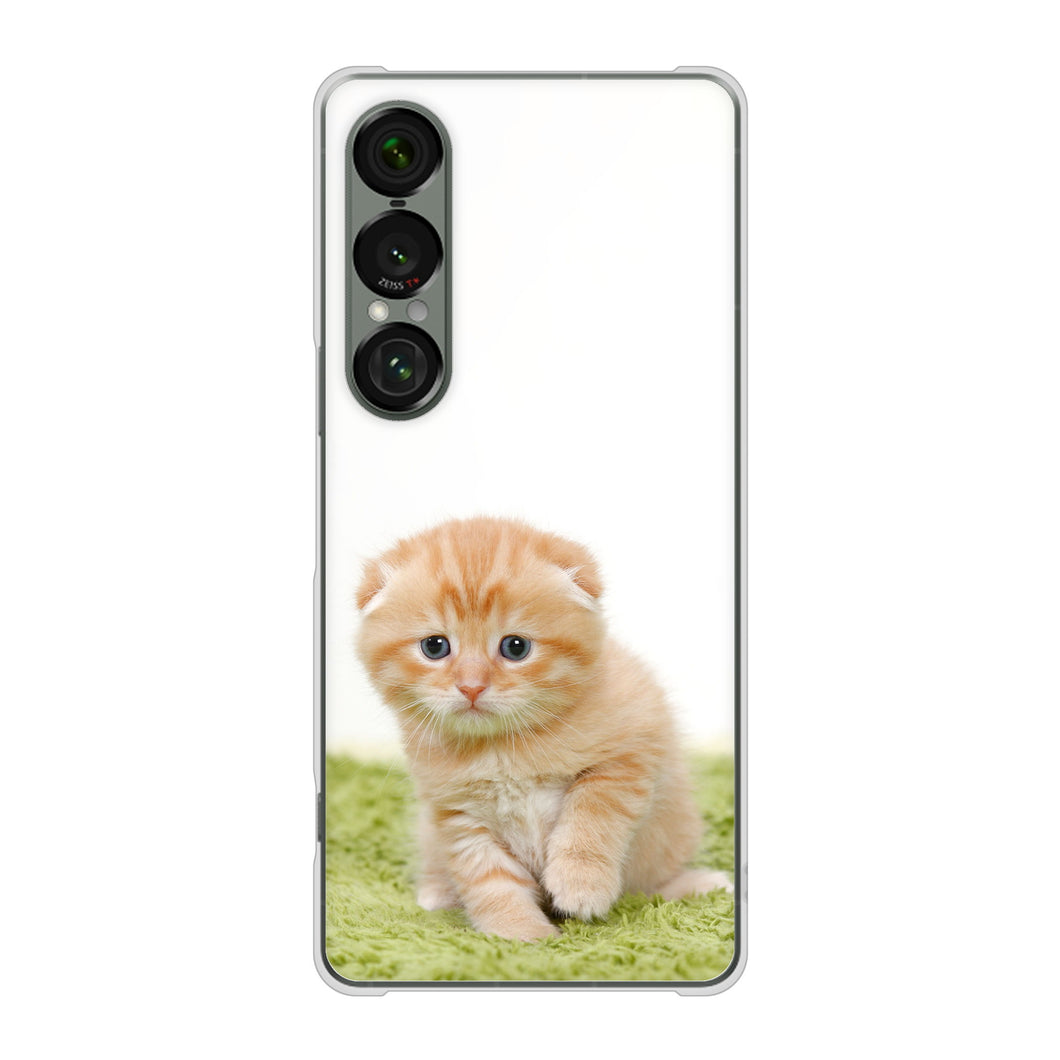 Xperia 1 VII A501SO SoftBank 高画質仕上げ 背面印刷 ハードケース 【VA802 ネコこっそり】