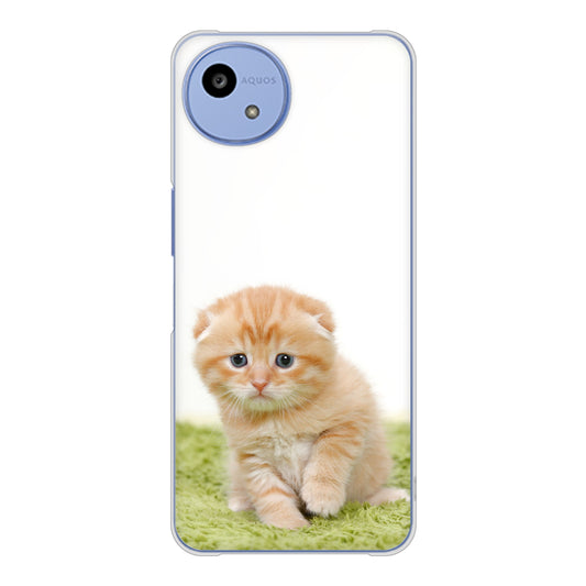 AQUOS wish5 A502SH Y!mobile VA802 ネコこっそり ハードケース 背面印刷