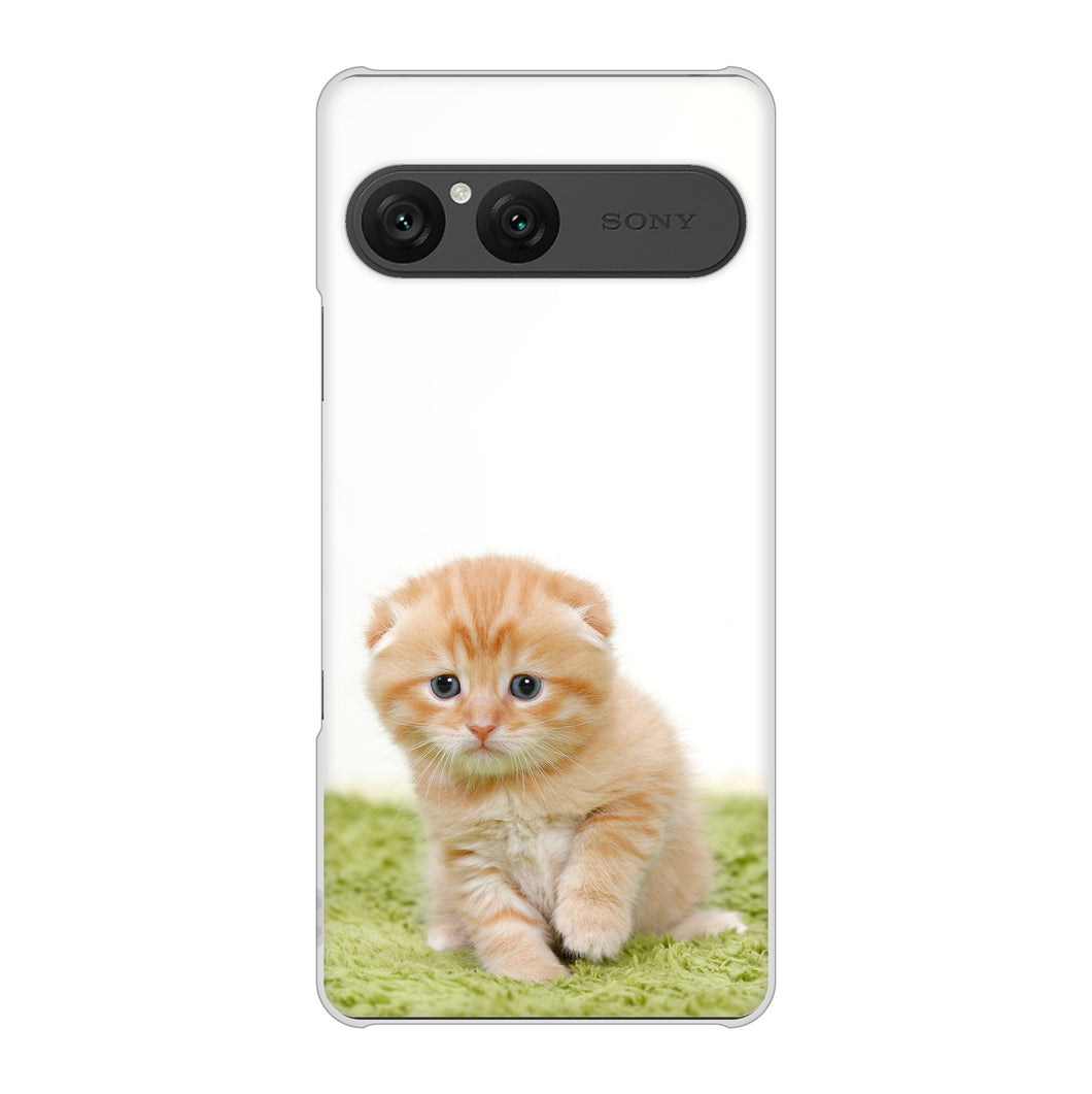 Xperia 10 VII A502SO SoftBank 高画質仕上げ 背面印刷 ハードケース 【VA802 ネコこっそり】