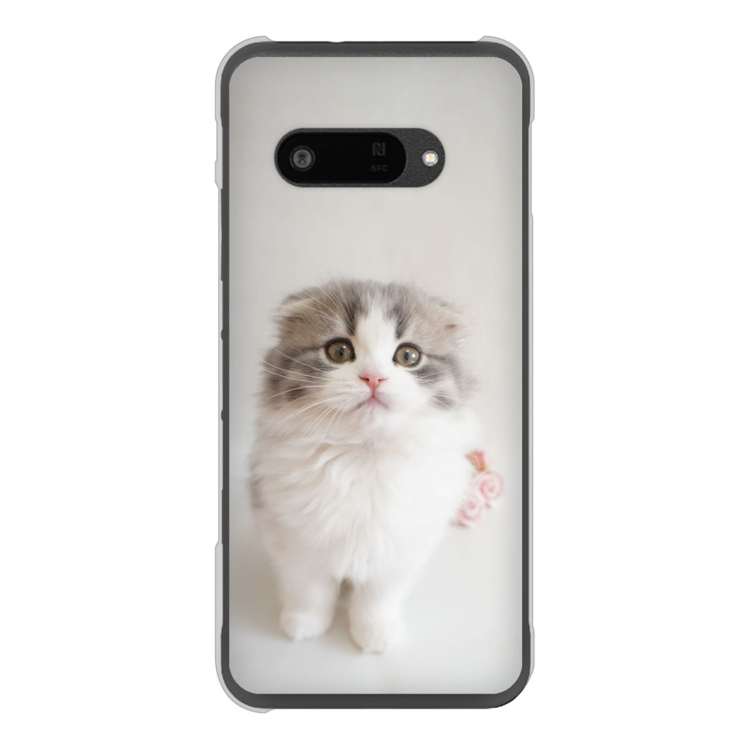 DIGNO SX4 高画質仕上げ 背面印刷 ハードケース 【VA803 まっていますネコ】