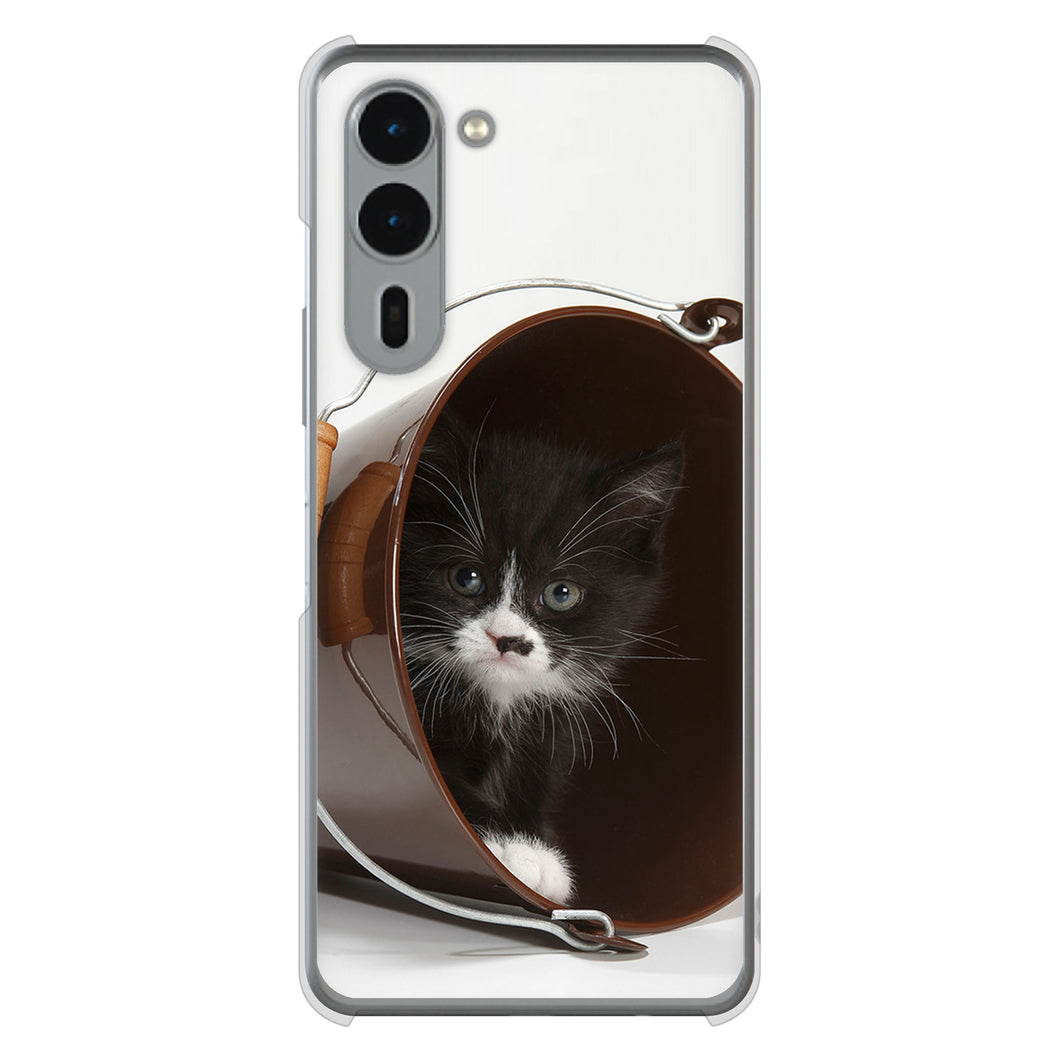 arrows We2 Plus F-51E docomo 高画質仕上げ 背面印刷 ハードケース 【VA800 ネコとバケツ】