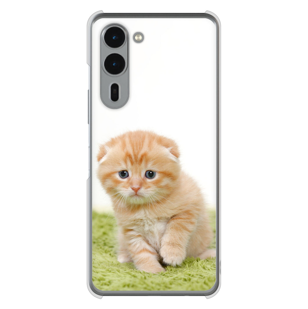 arrows We2 Plus F-51E docomo 高画質仕上げ 背面印刷 ハードケース 【VA802 ネコこっそり】