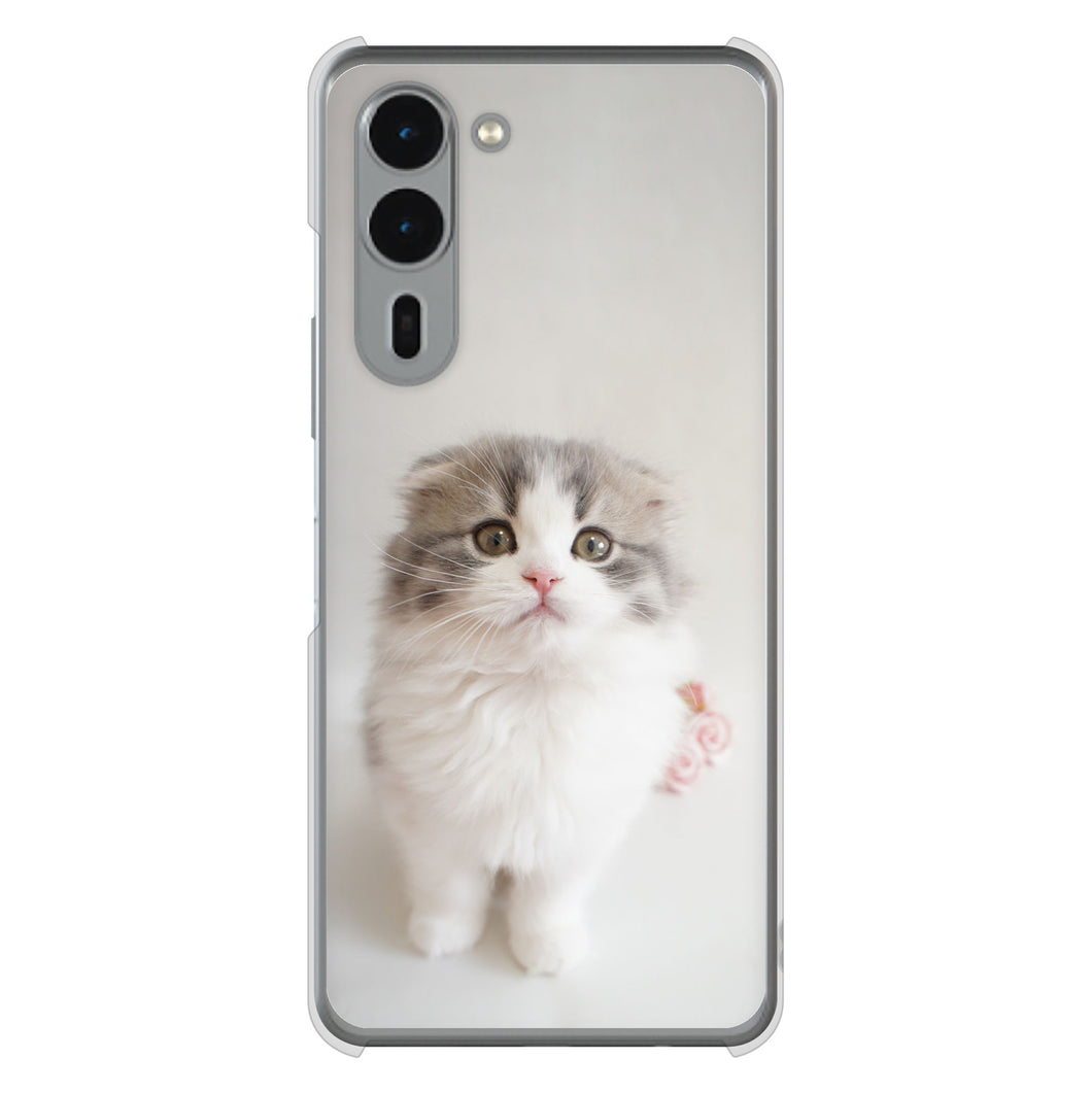 arrows We2 Plus F-51E docomo 高画質仕上げ 背面印刷 ハードケース 【VA803 まっていますネコ】