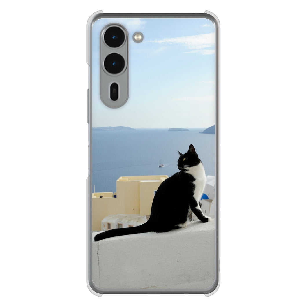 arrows We2 Plus F-51E docomo 高画質仕上げ 背面印刷 ハードケース 【VA805 ネコと地中海】