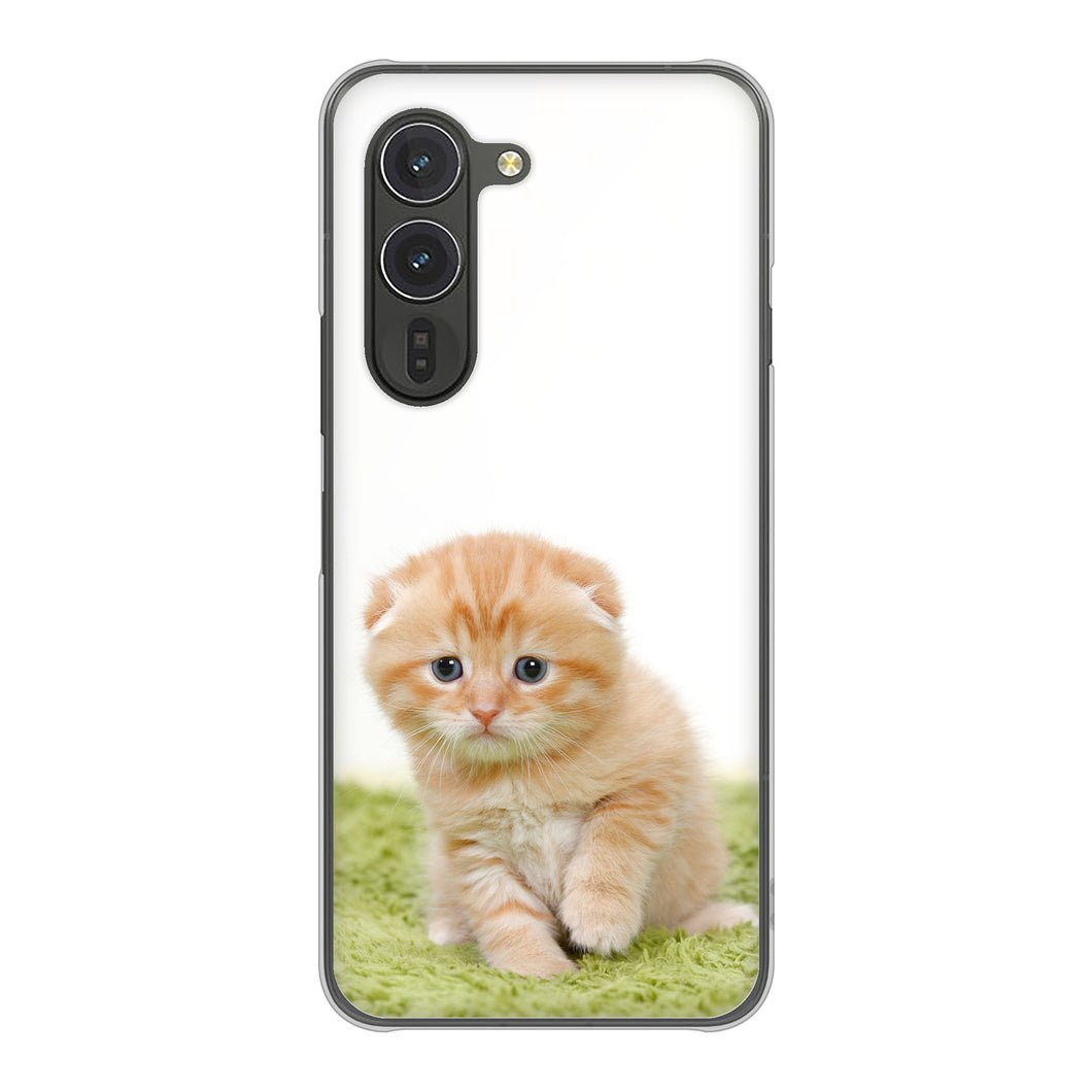 arrows Alpha F-51F docomo 高画質仕上げ 背面印刷 ハードケース 【VA802 ネコこっそり】