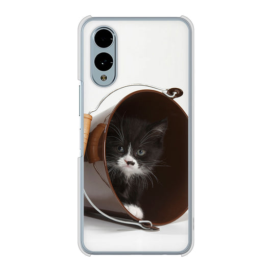 arrows We2 F-52E docomo 高画質仕上げ 背面印刷 ハードケース 【VA800 ネコとバケツ】