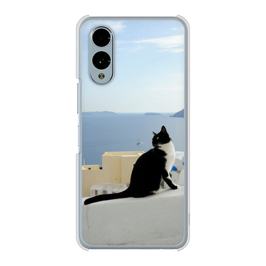 arrows We2 F-52E docomo 高画質仕上げ 背面印刷 ハードケース 【VA805 ネコと地中海】