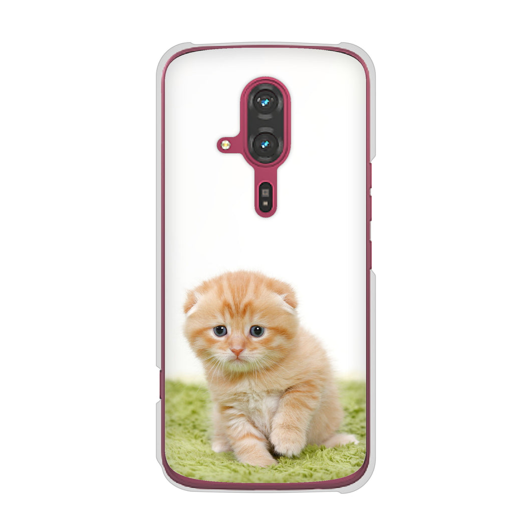 らくらくスマートフォン F-53E docomo 高画質仕上げ 背面印刷 ハードケース 【VA802 ネコこっそり】