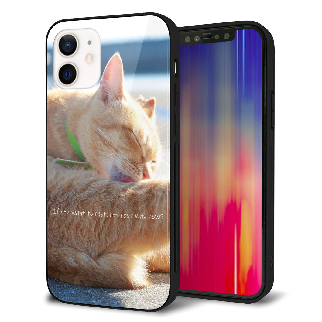 iPhone12 強化ガラス&TPUスマホケース ガラプリ【KM876 猫】