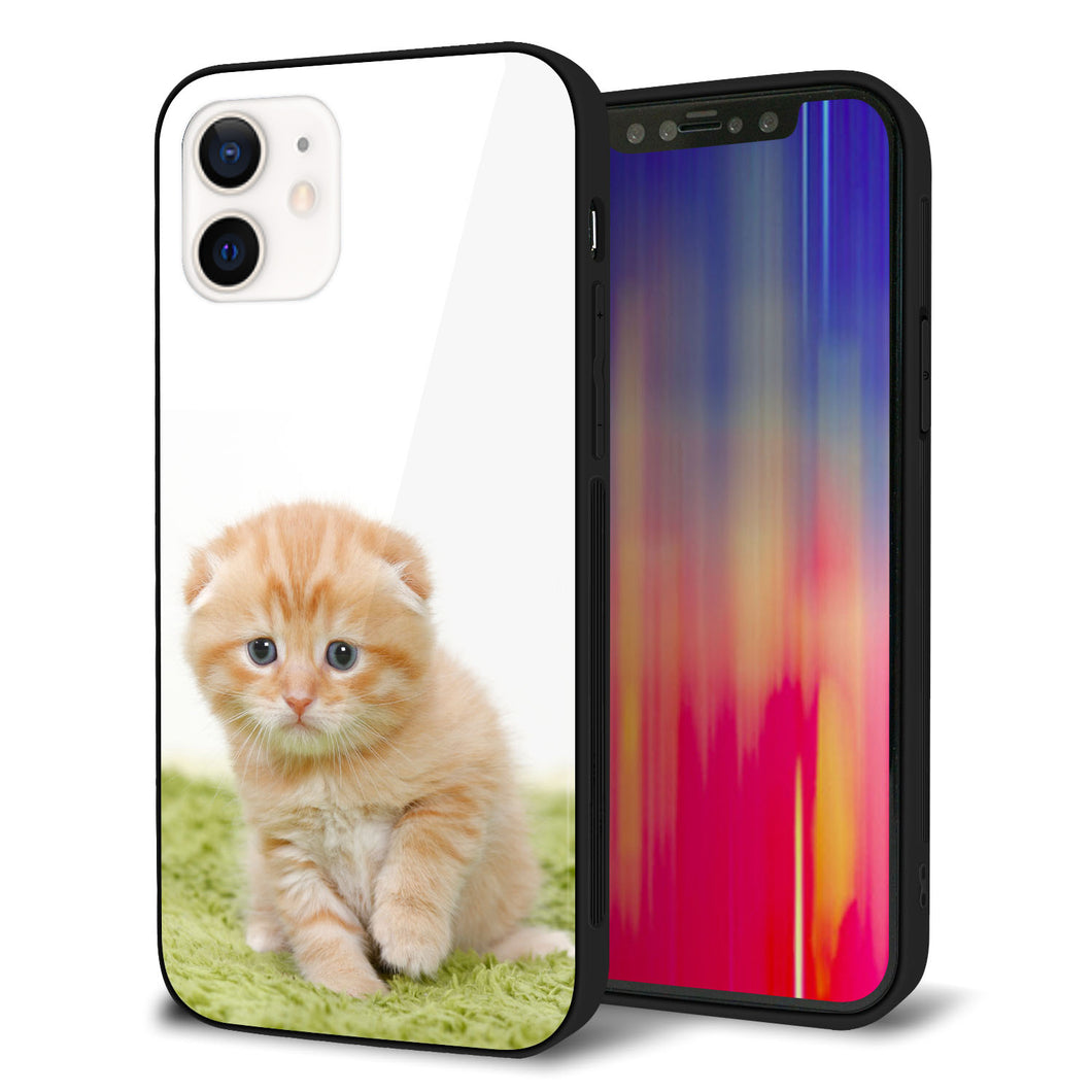 iPhone12 強化ガラス&TPUスマホケース ガラプリ【VA802 ネコこっそり】