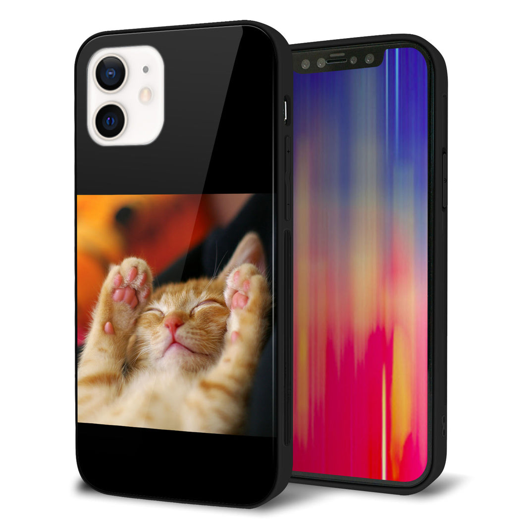 iPhone12 強化ガラス&TPUスマホケース ガラプリ【VA804 爆睡するネコ】