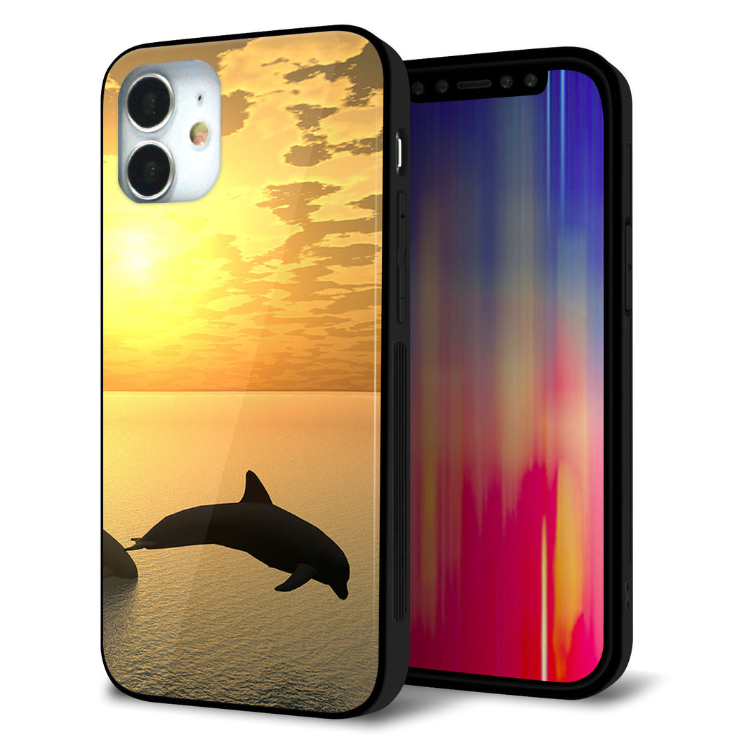 iPhone12 mini 強化ガラス&TPUスマホケース ガラプリ【VA845 夕暮れのドルフィン】