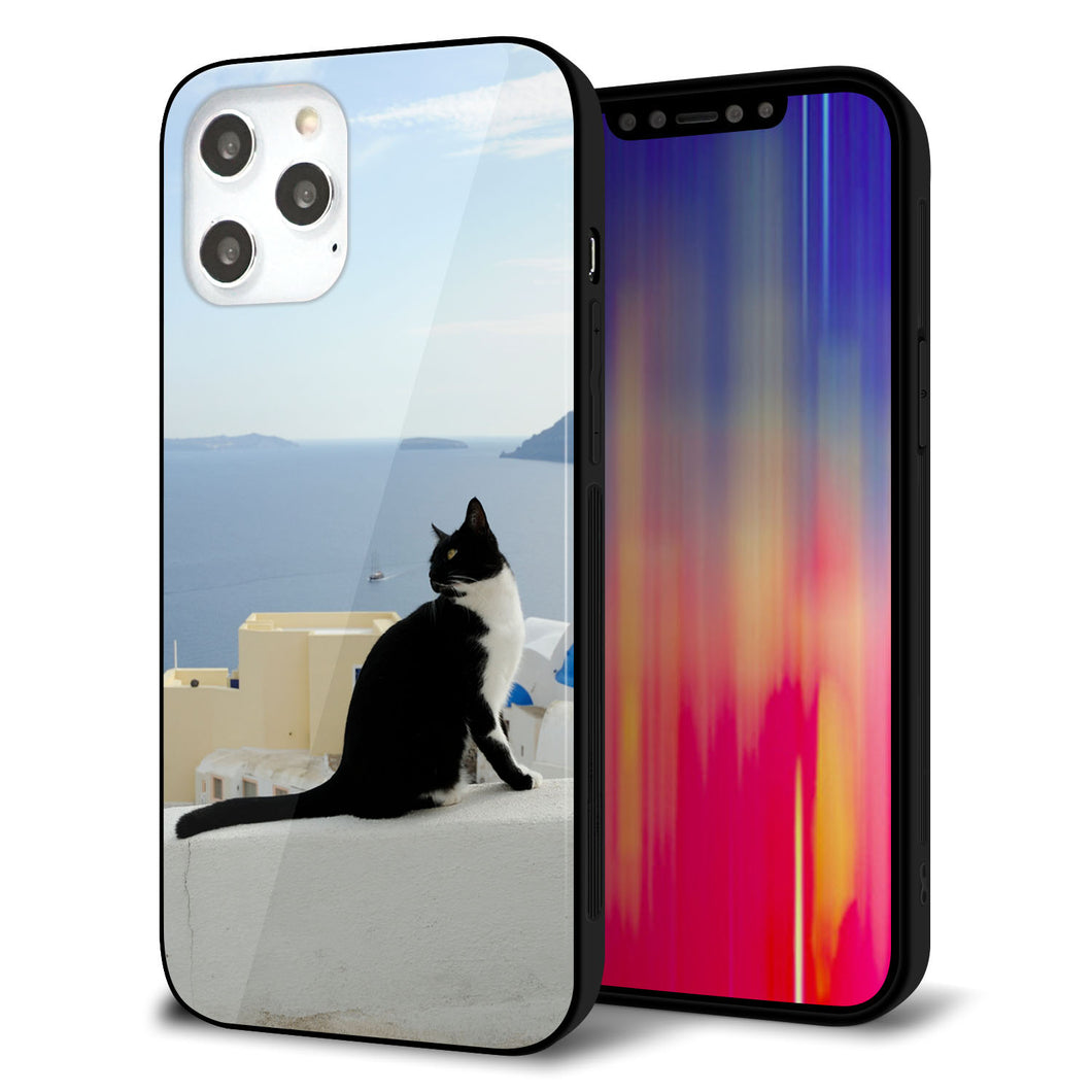 iPhone12 Pro Max 強化ガラス&TPUスマホケース ガラプリ【VA805 ネコと地中海】