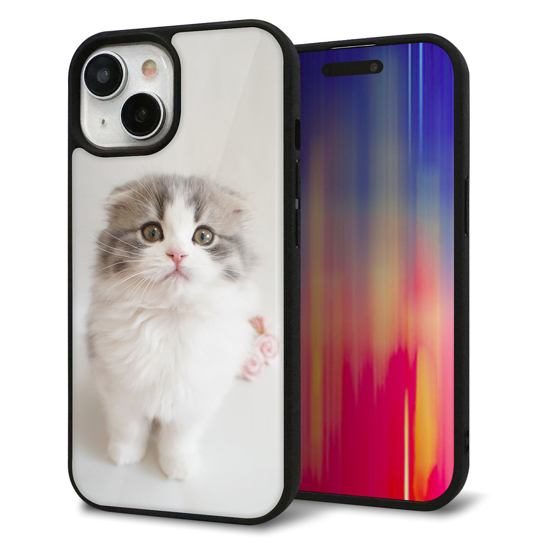 iPhone15 強化ガラス&TPUスマホケース ガラプリ【VA803 まっていますネコ】