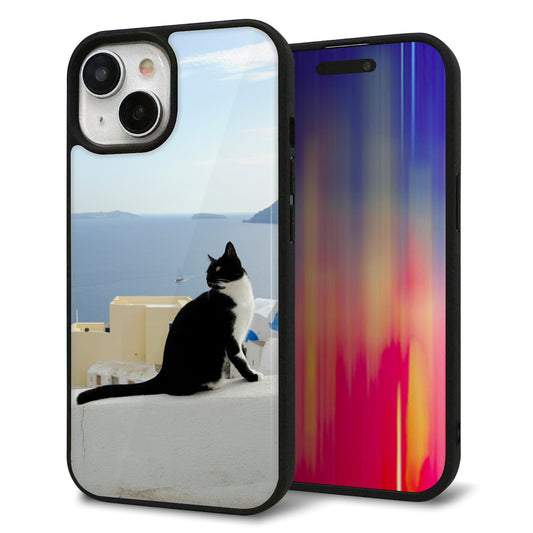iPhone15 強化ガラス＆TPUスマホケース ガラプリ【VA805 ネコと地中海】