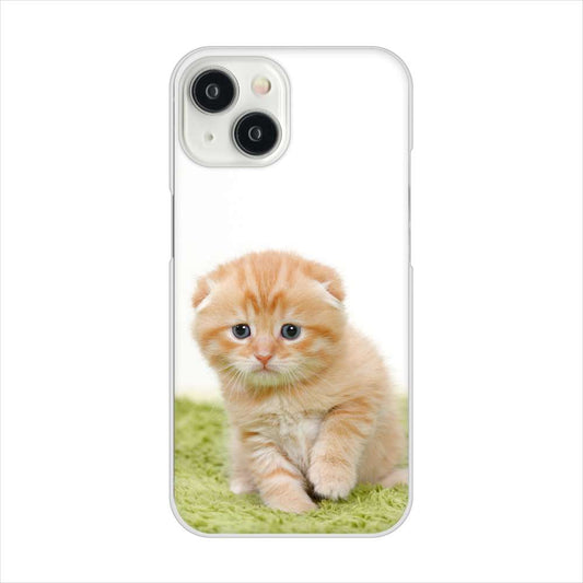iPhone15 高画質仕上げ 背面印刷 ハードケース 【VA802 ネコこっそり】