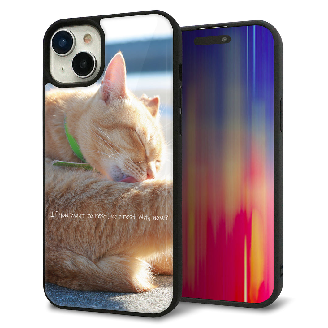 iPhone15 Plus 強化ガラス&TPUスマホケース ガラプリ【KM876 猫】