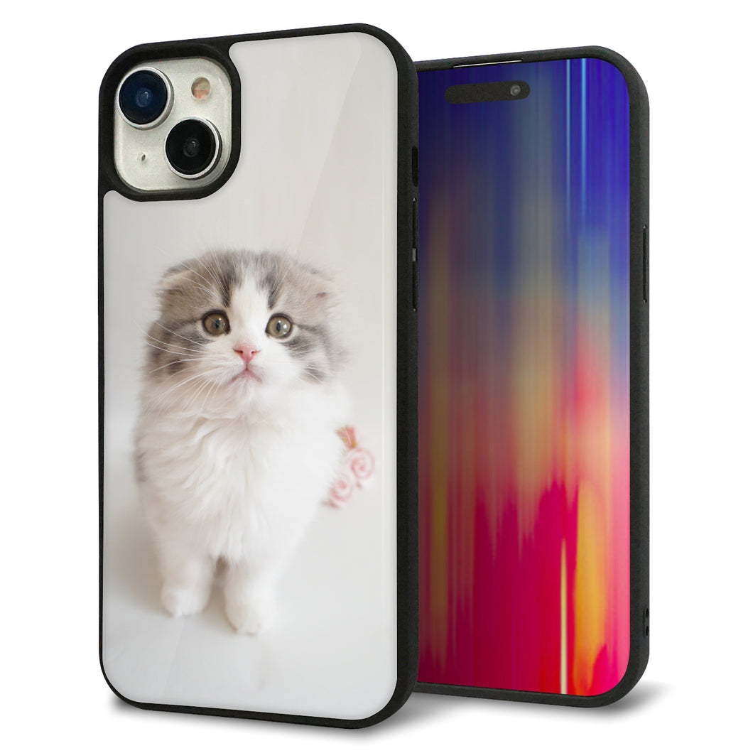 iPhone15 Plus 強化ガラス&TPUスマホケース ガラプリ【VA803 まっていますネコ】
