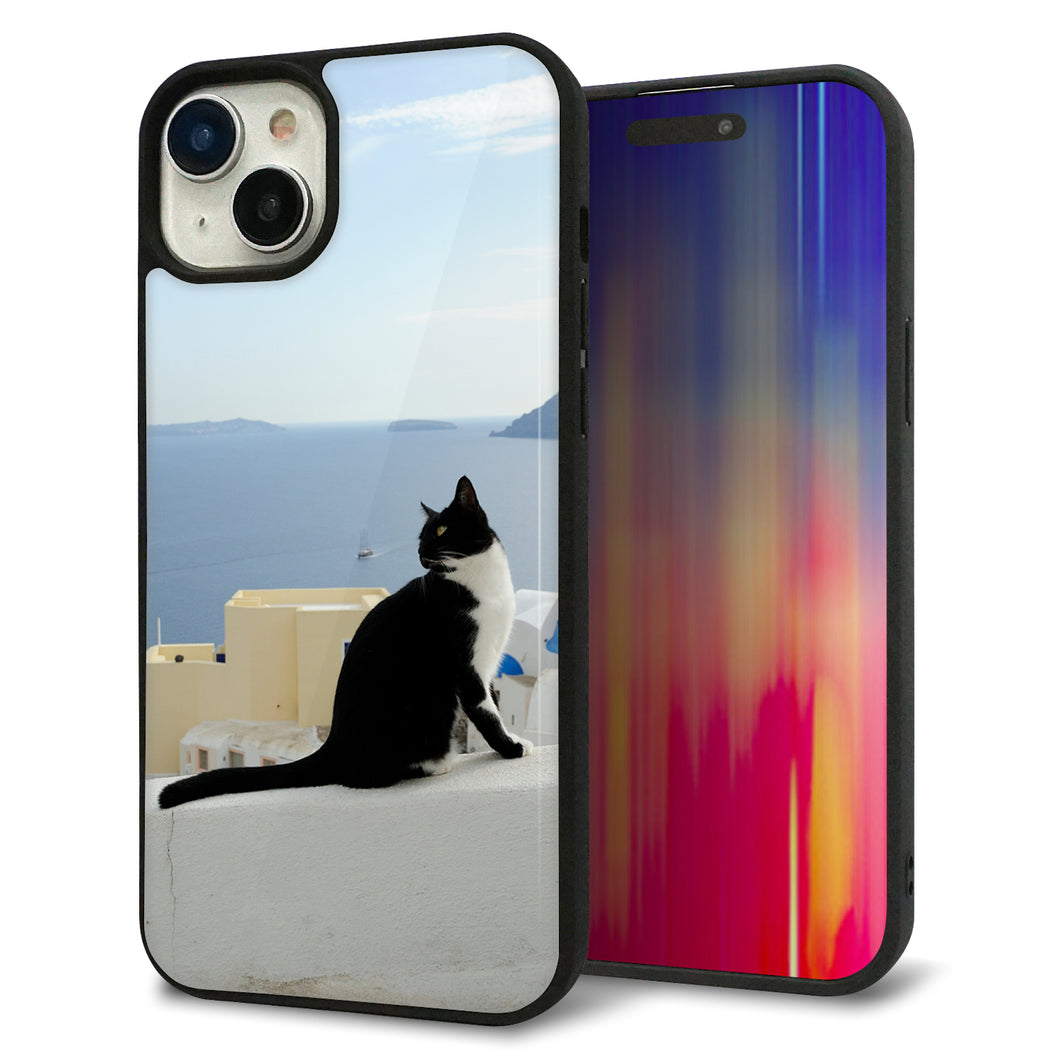 iPhone15 Plus 強化ガラス&TPUスマホケース ガラプリ【VA805 ネコと地中海】