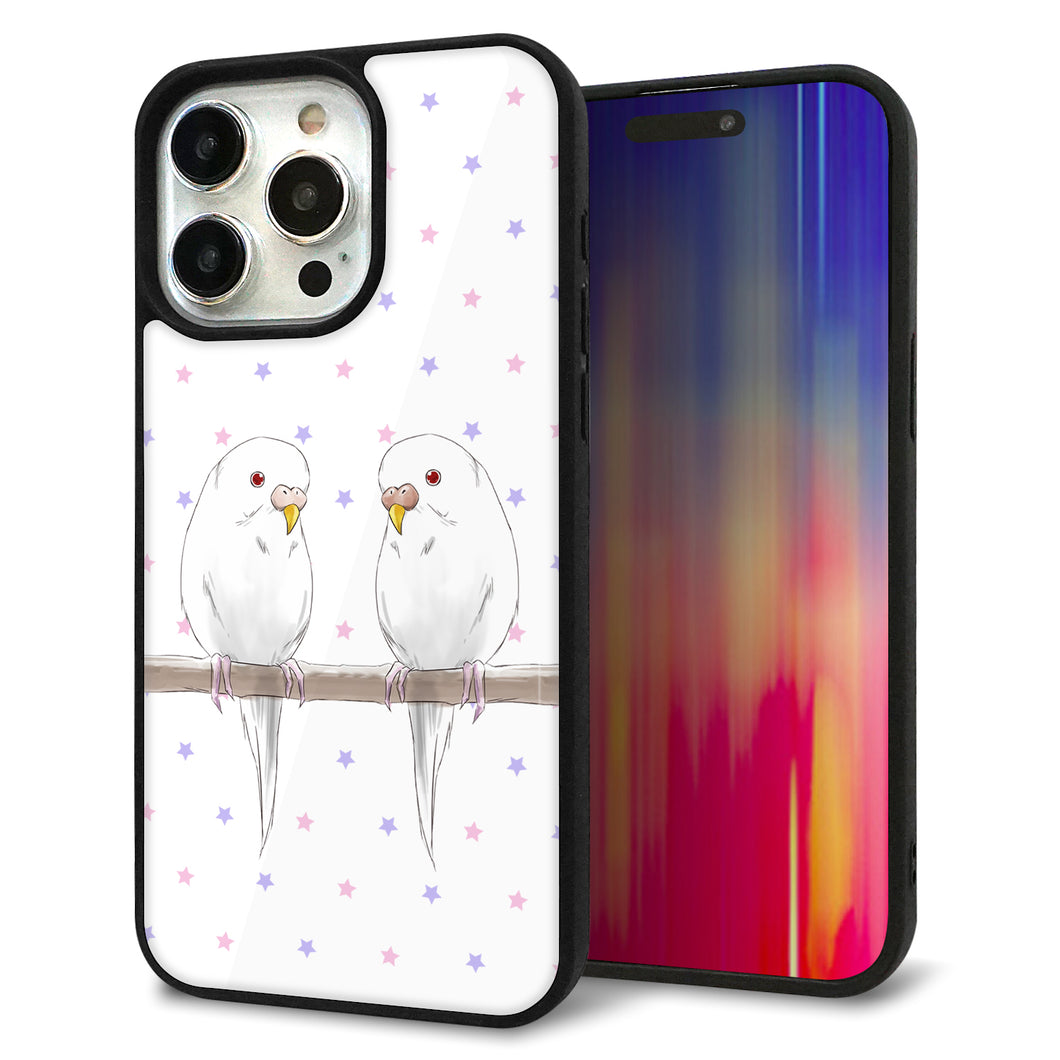 iPhone15 Pro Max 強化ガラス&TPUスマホケース ガラプリ【HA273 インコイノ スター】