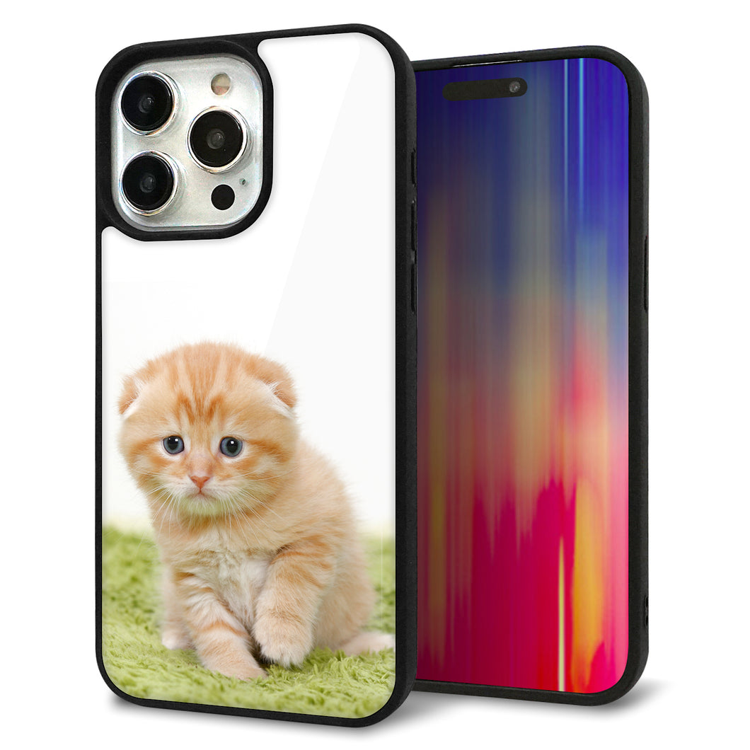 iPhone15 Pro Max 強化ガラス&TPUスマホケース ガラプリ【VA802 ネコこっそり】
