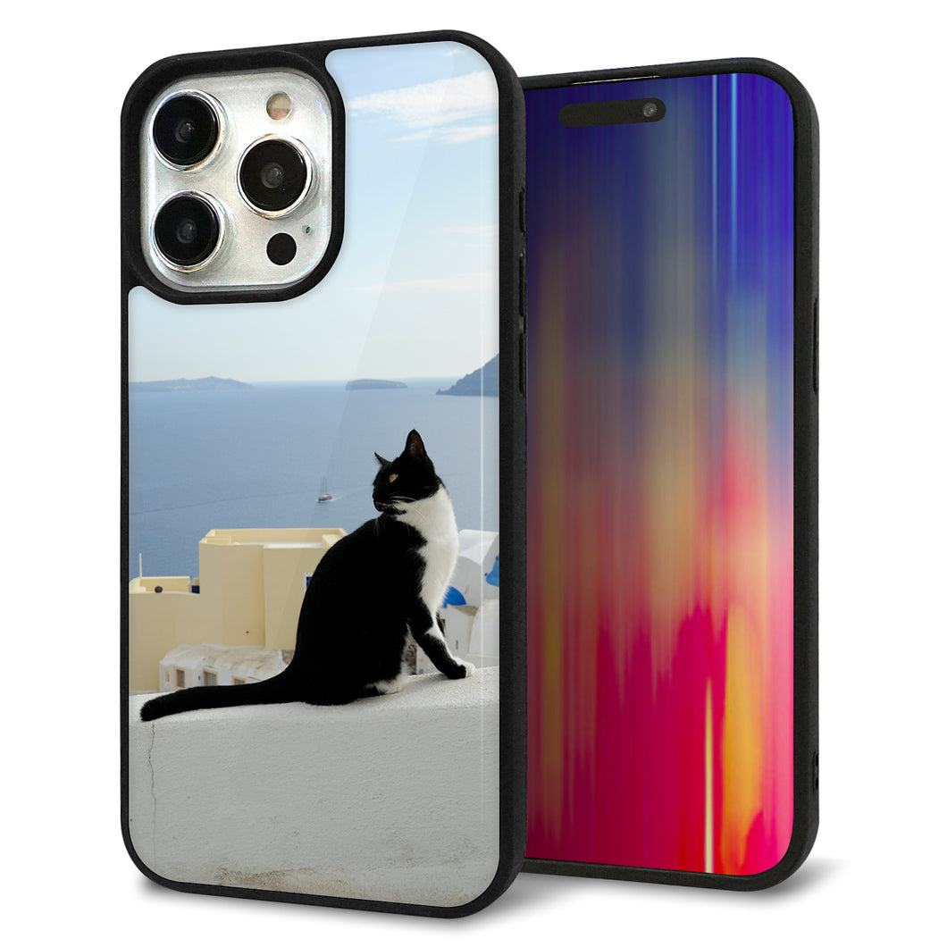 iPhone15 Pro Max 強化ガラス&TPUスマホケース ガラプリ【VA805 ネコと地中海】