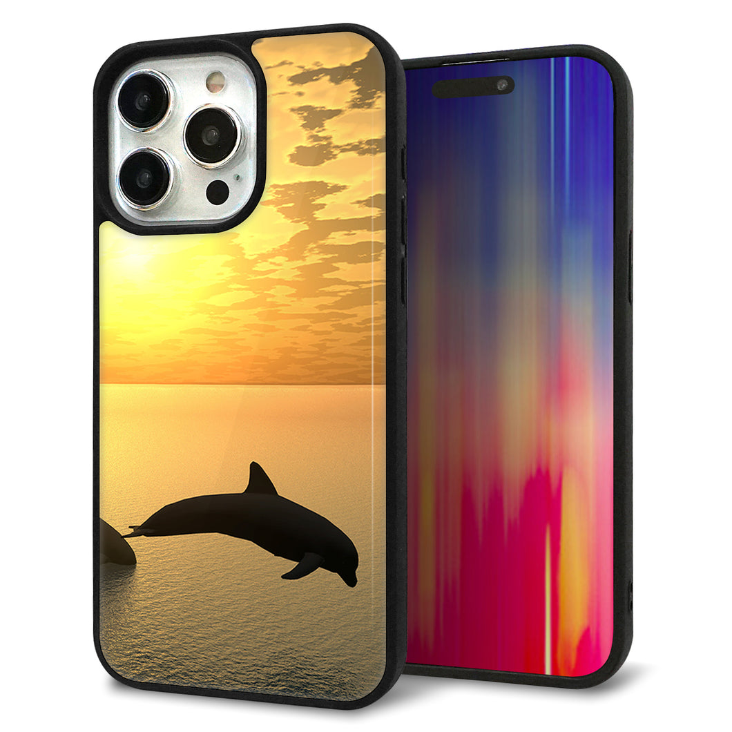 iPhone15 Pro Max 強化ガラス&TPUスマホケース ガラプリ【VA845 夕暮れのドルフィン】