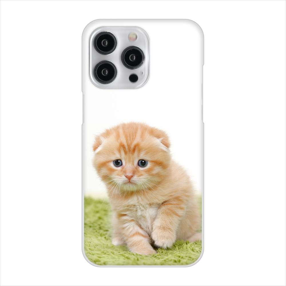iPhone15 Pro Max 高画質仕上げ 背面印刷 ハードケース 【VA802 ネコこっそり】