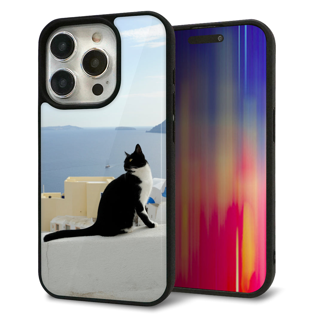 iPhone15 Pro 強化ガラス&TPUスマホケース ガラプリ【VA805 ネコと地中海】