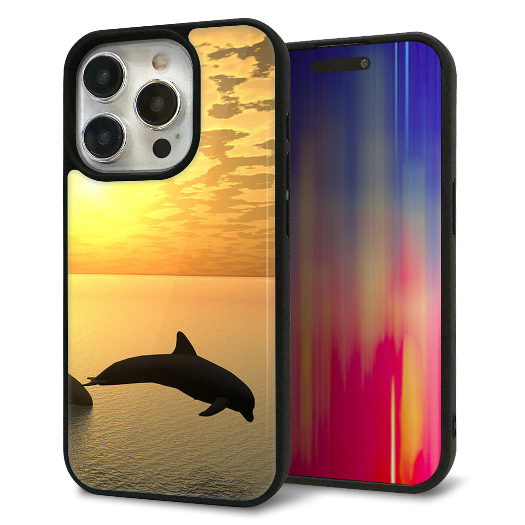 iPhone15 Pro 強化ガラス&TPUスマホケース ガラプリ【VA845 夕暮れのドルフィン】