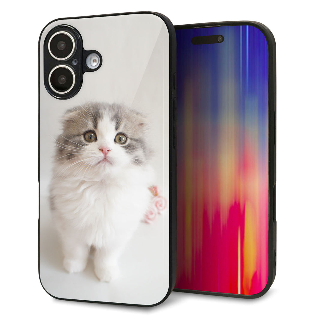 iPhone16 強化ガラス&TPUスマホケース ガラプリ【VA803 まっていますネコ】