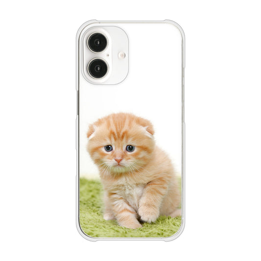 iPhone16 高画質仕上げ 背面印刷 ハードケース 【VA802 ネコこっそり】