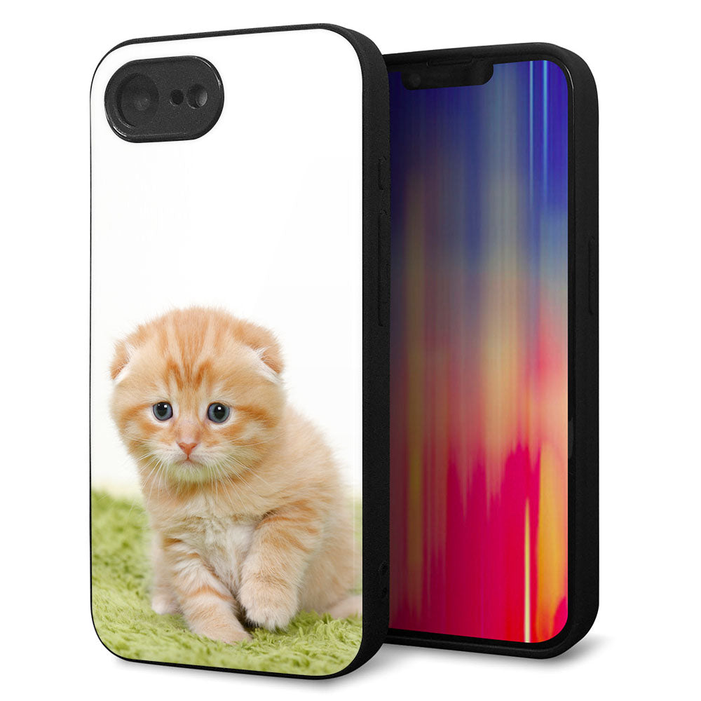 iPhone16e 強化ガラス&TPUスマホケース ガラプリ【VA802 ネコこっそり】