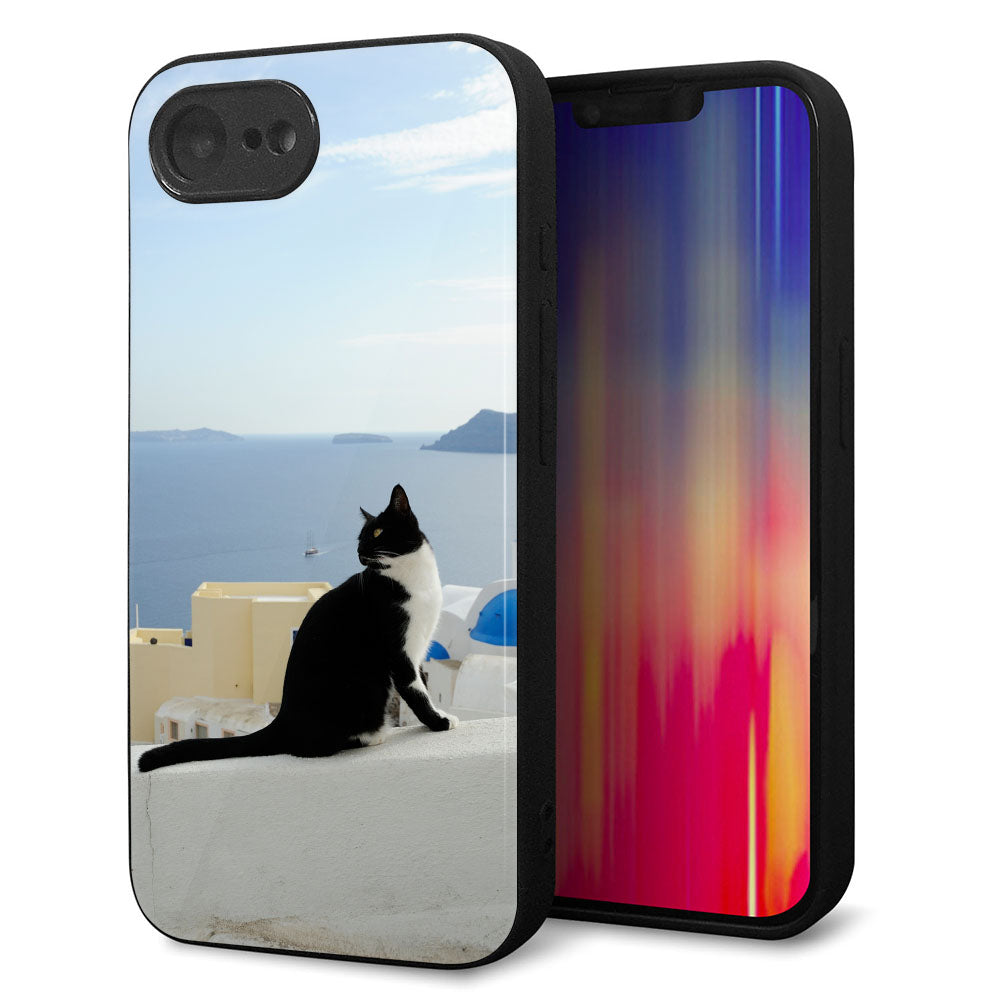 iPhone16e 強化ガラス&TPUスマホケース ガラプリ【VA805 ネコと地中海】