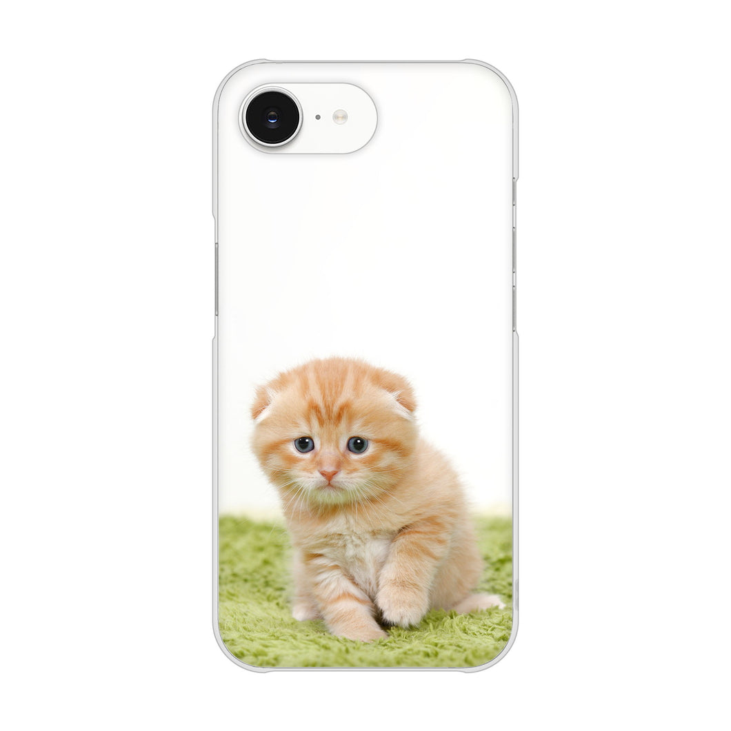 iPhone16e 高画質仕上げ 背面印刷 ハードケース 【VA802 ネコこっそり】