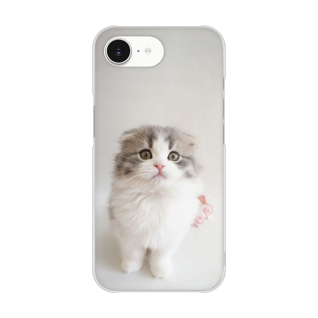 iPhone16e 高画質仕上げ 背面印刷 ハードケース 【VA803 まっていますネコ】